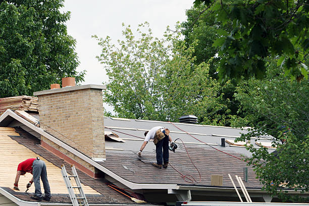 Best Roof Gutter Cleaning  in Yellow Springs, OH