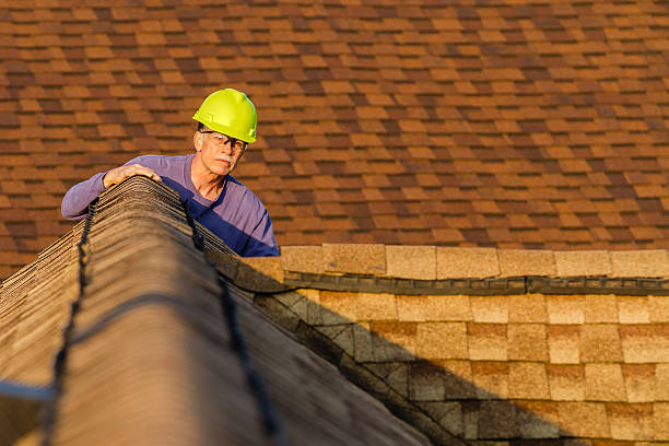 Best Roof Gutter Cleaning  in Yellow Springs, OH
