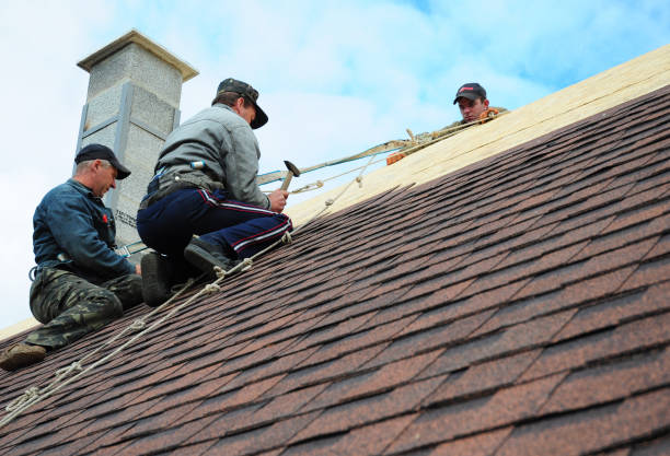Best Metal Roofing Contractor  in Yellow Springs, OH